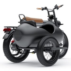 COSWHEEL CT20 Electric Cargo Bike With Sidecar Vintage Side Car Fat Tyre E Bike Electric Tricycle